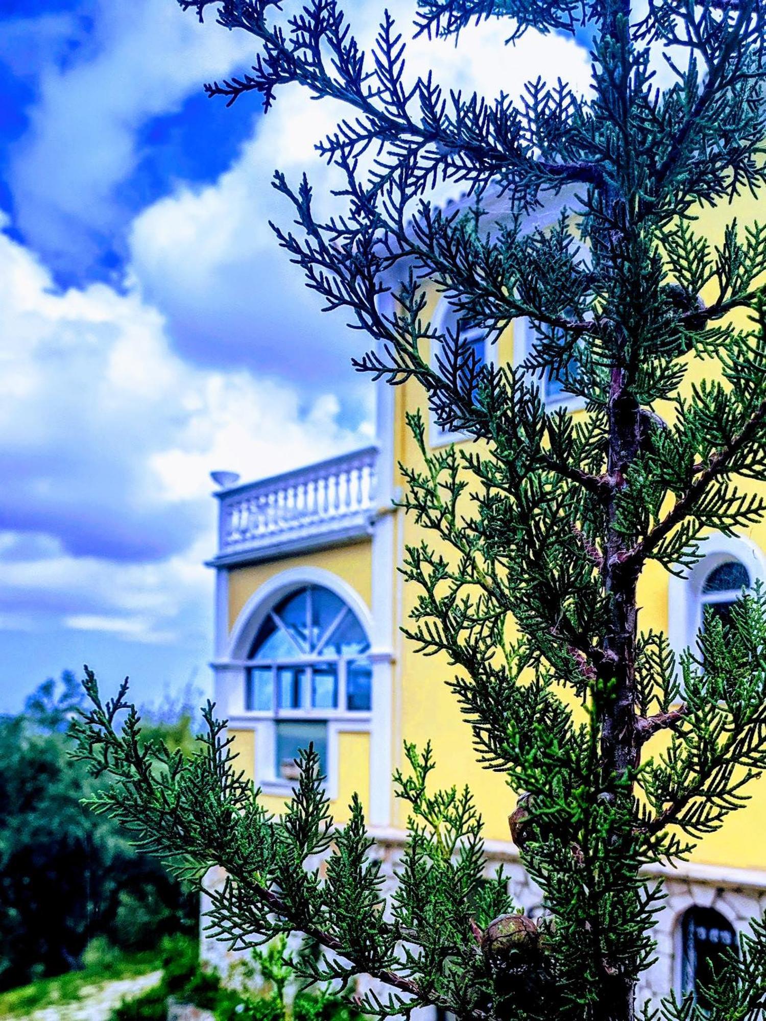Vila Kalielaia Mouzakion  Exterior photo